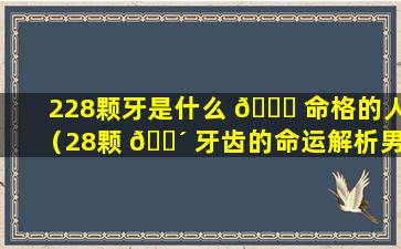 228颗牙是什么 🐒 命格的人（28颗 🌴 牙齿的命运解析男人）